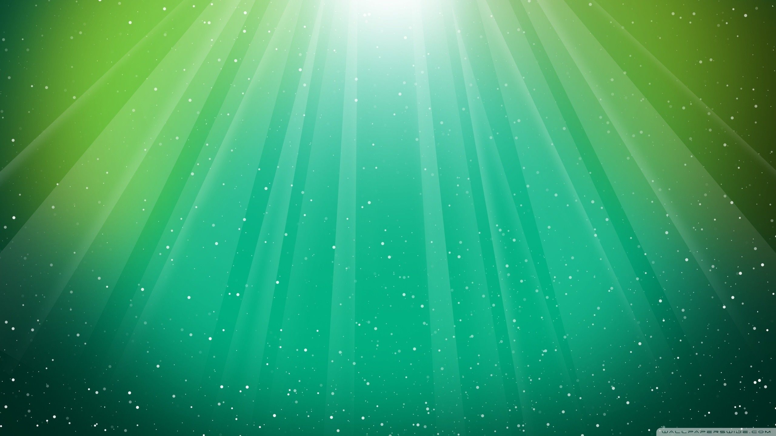 Sfondo verde sfumato astratto, 2560x1440 2K QHD, PC