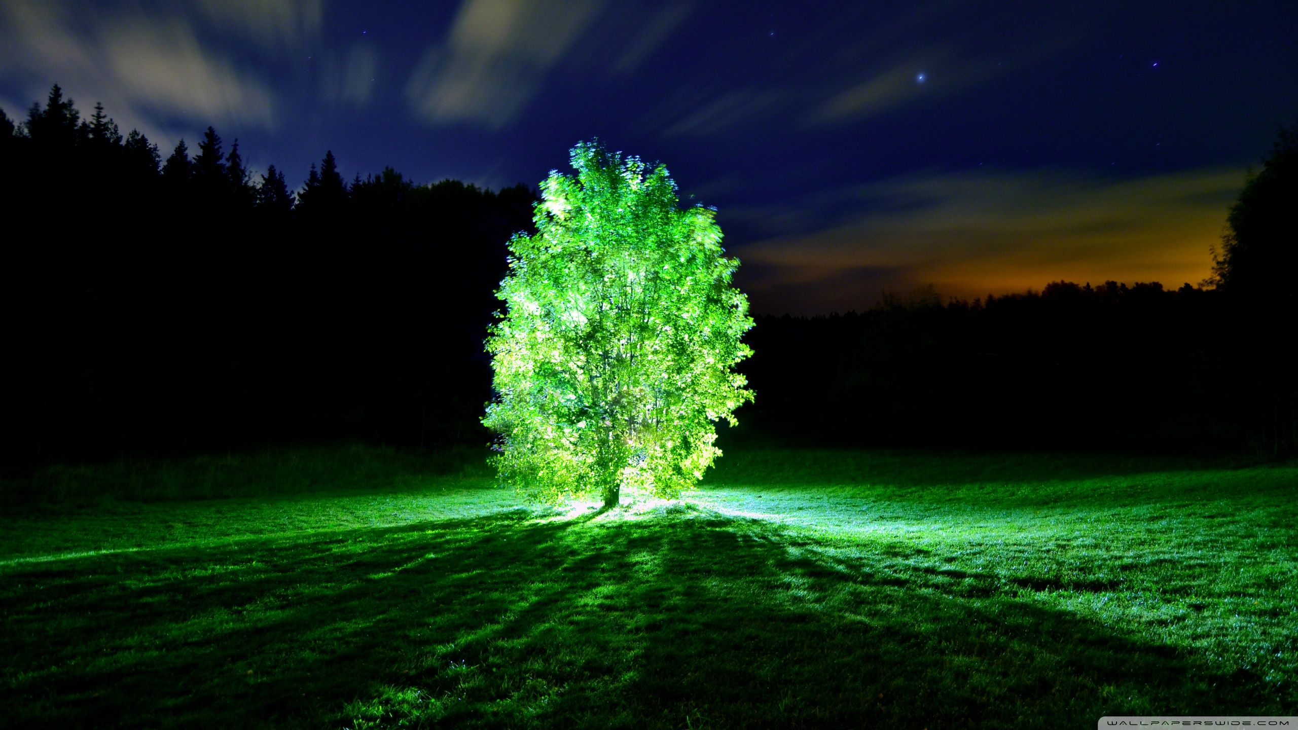Aurora boreale verde cielo notturno, 2560x1440 2K QHD, Monitor Gaming