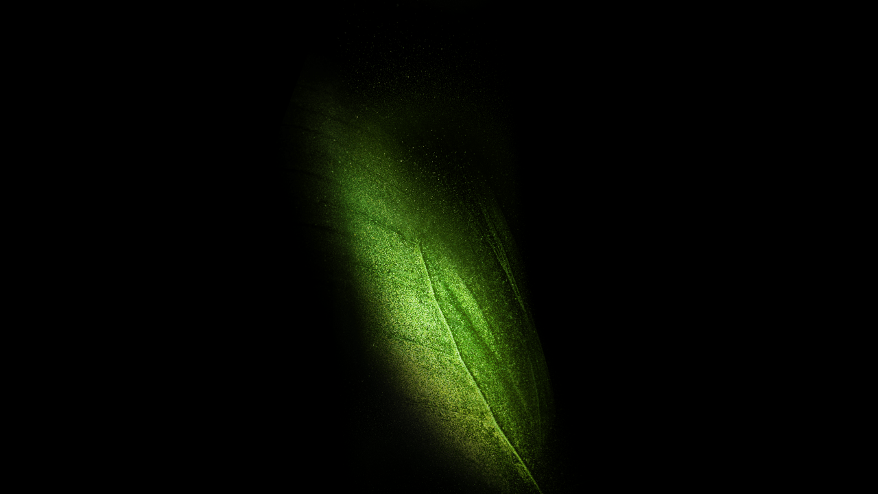 Foglia verde su nero, 1280x720 720p, PC