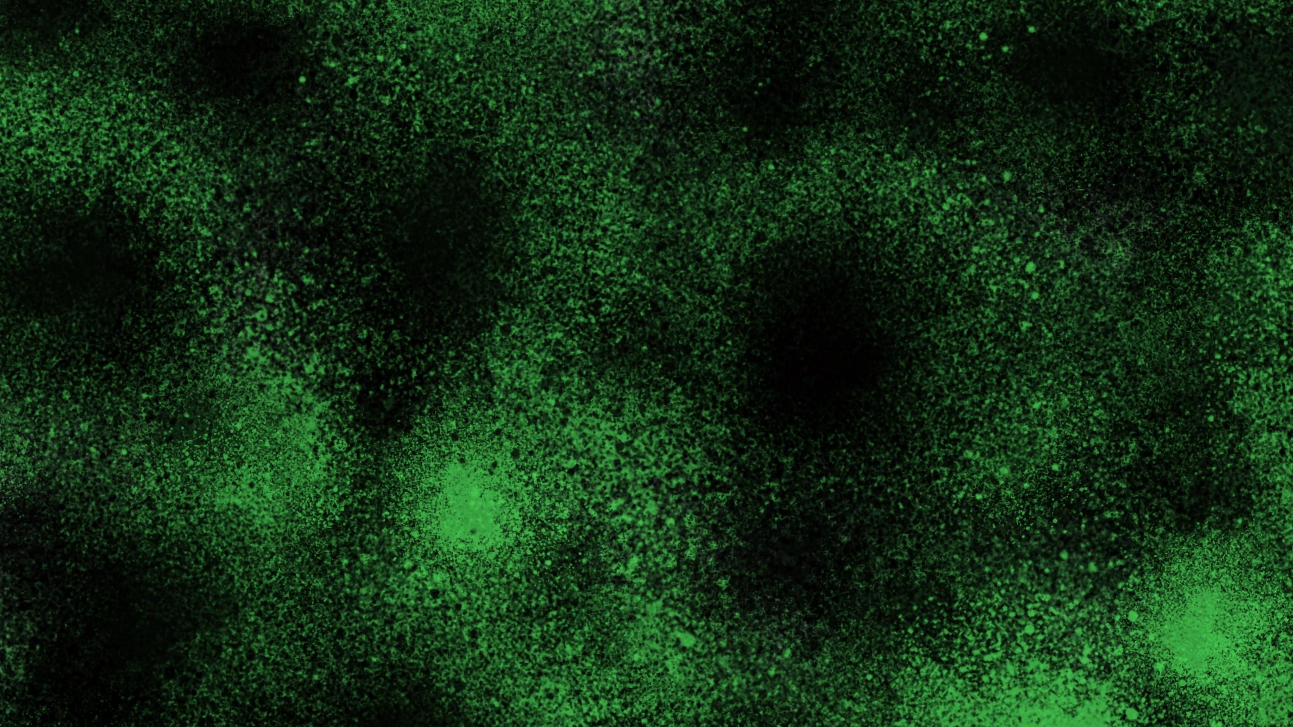 Puntini verdi astratti, 2560x1440 1440p, Desktop