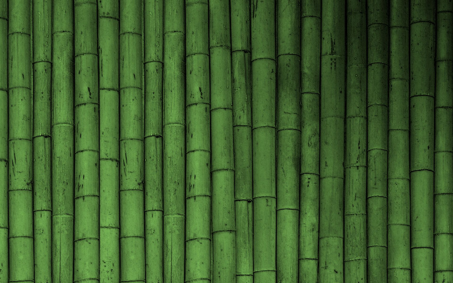 Canne di bambù verdi, 1920x1200 WUXGA, Desktop