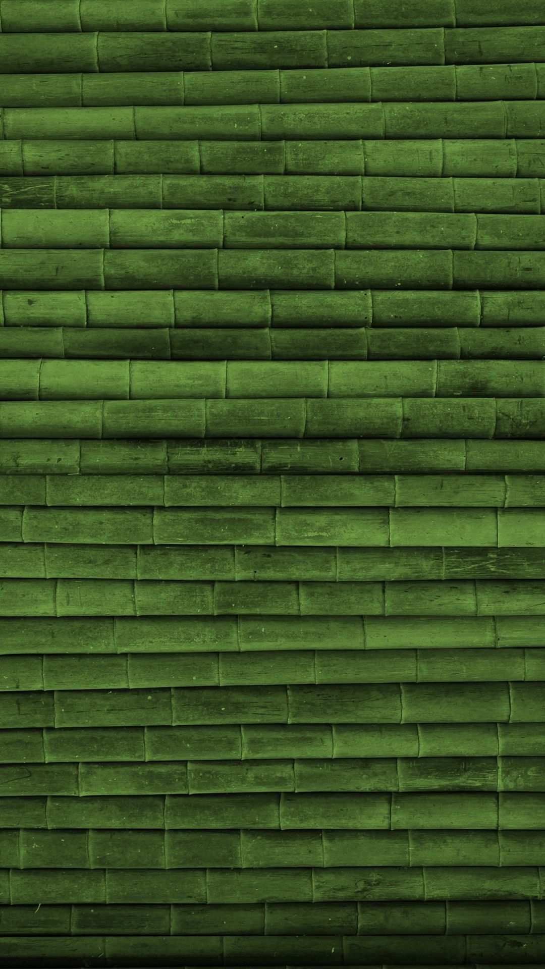 Texture bambù verde, 1080x1920 Verticale, Telefono
