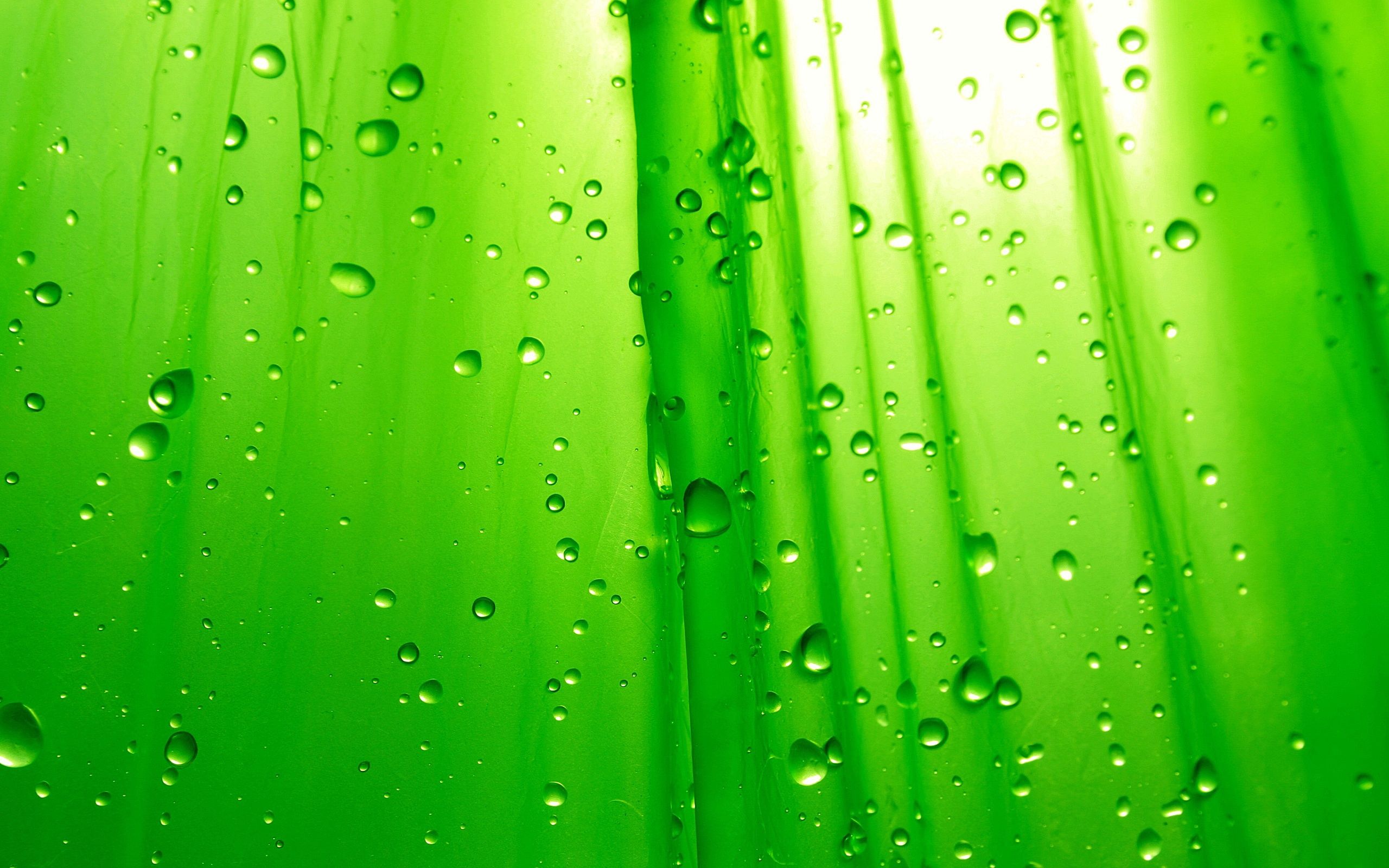 Gocce d'acqua su verde, 2560x1600 2K, MacBook Pro