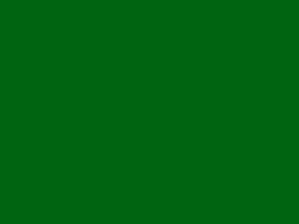 Sfondo verde tinta unita, 1024x768 HD, PC Desktop