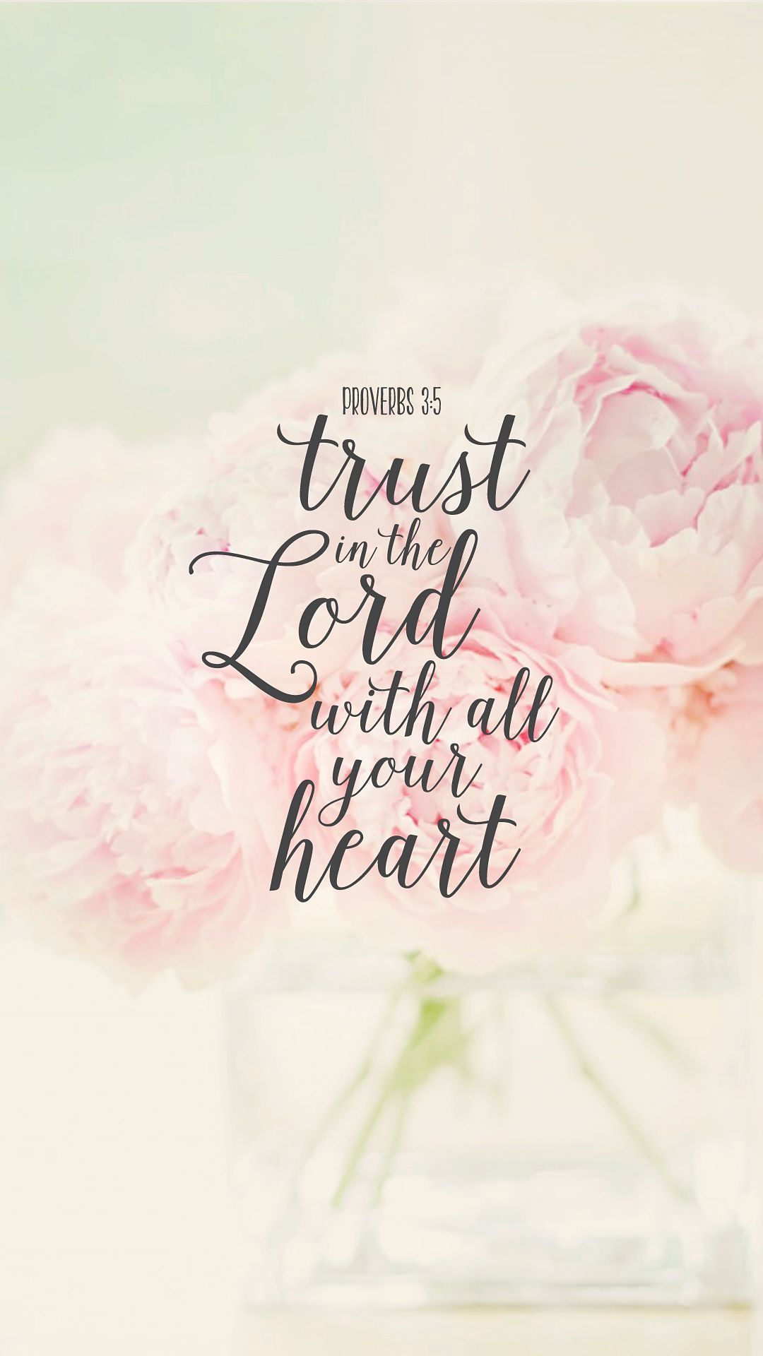 Versetto biblico Giovanni 3:16 con rose, 920x1230 Full HD Verticale, iPhone