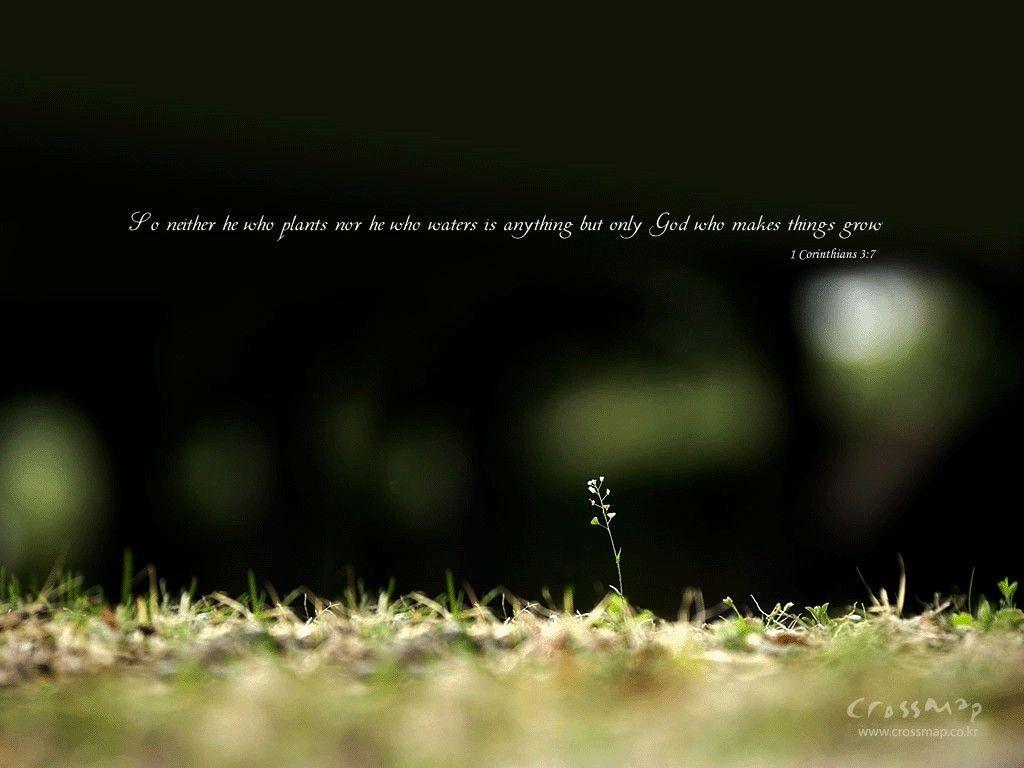 Versetto biblico Isaia paesaggio verde, 1024x768 HD, Laptop