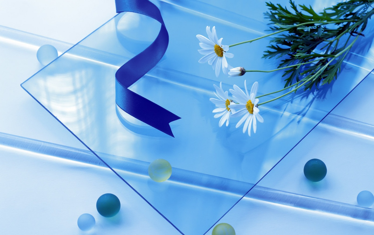 Margherite e nastro blu su vetro, 1280x804 HD, Desktop
