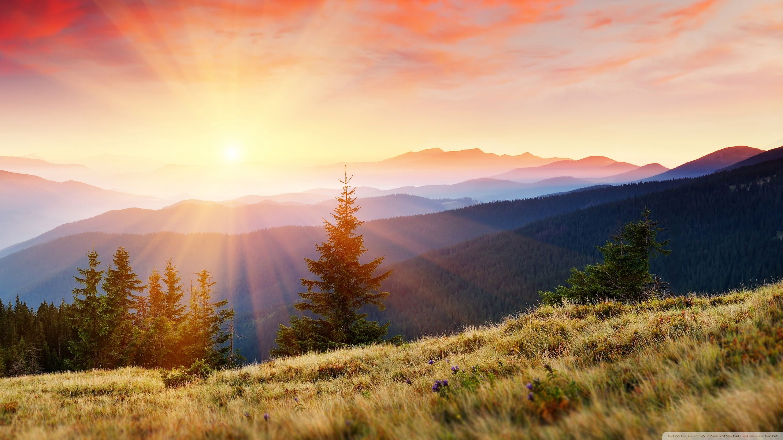Vetta montuosa al tramonto, 2560x1440 QHD, PC