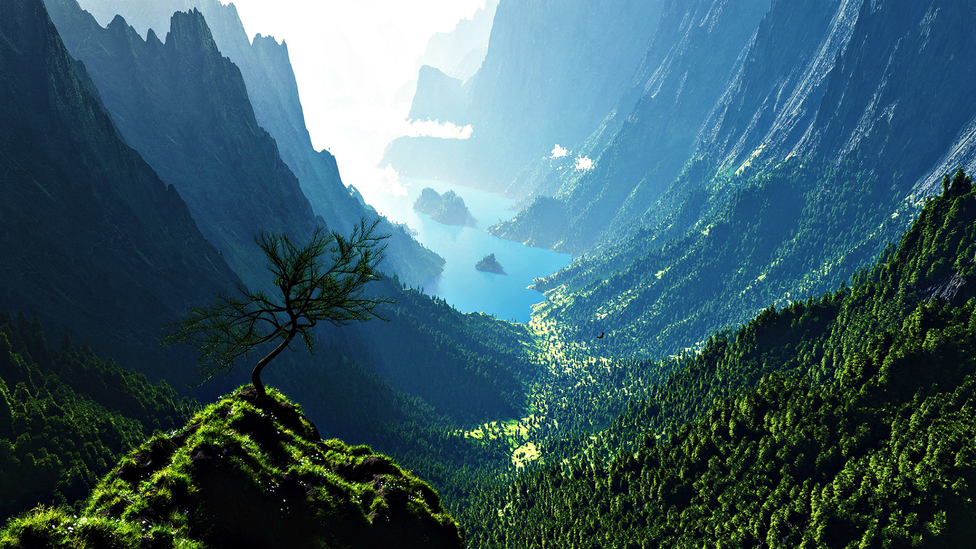 Valle montana con albero solitario, 1920x1080 Full HD 1080p, PC