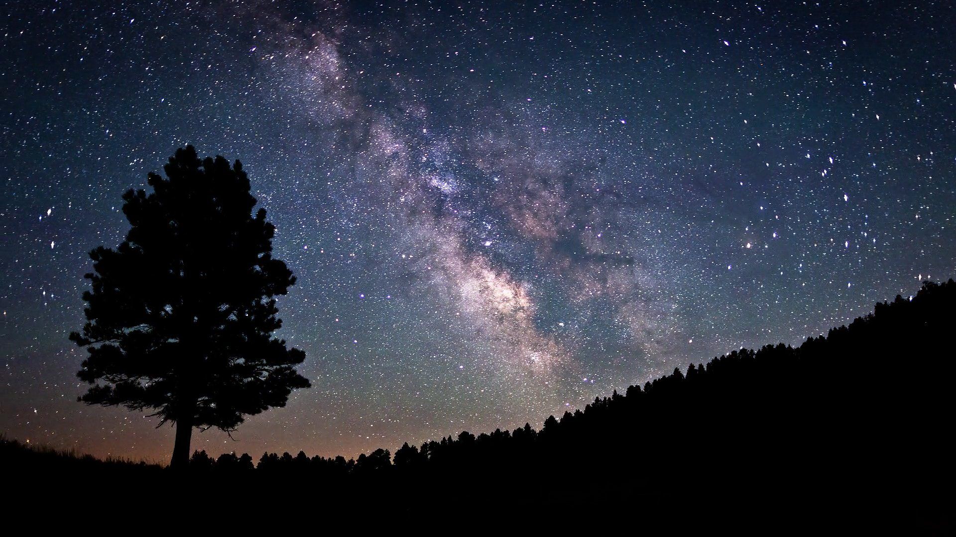 Via Lattea con albero silhouette, 1920x1080 Full HD, PC Desktop