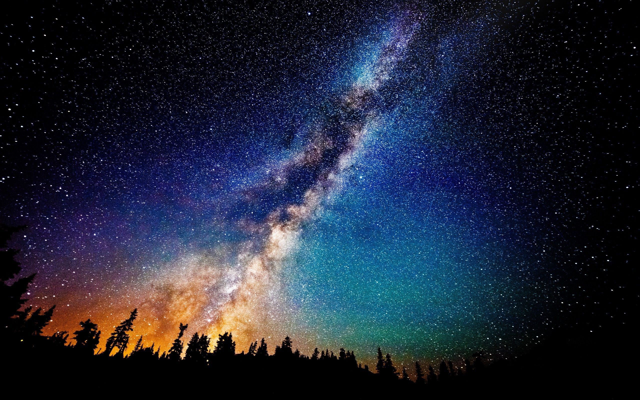 Via Lattea sopra alberi silhouette, 2560x1600 WQXGA, Desktop