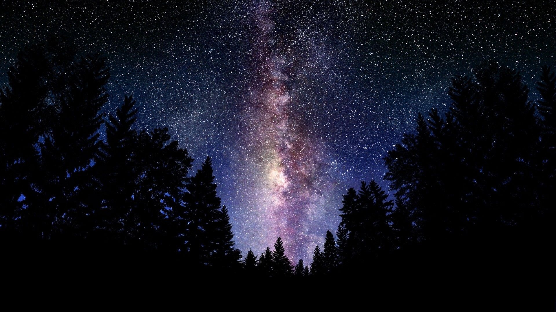 Via Lattea sopra foresta notturna, 1920x1080 Full HD, Desktop