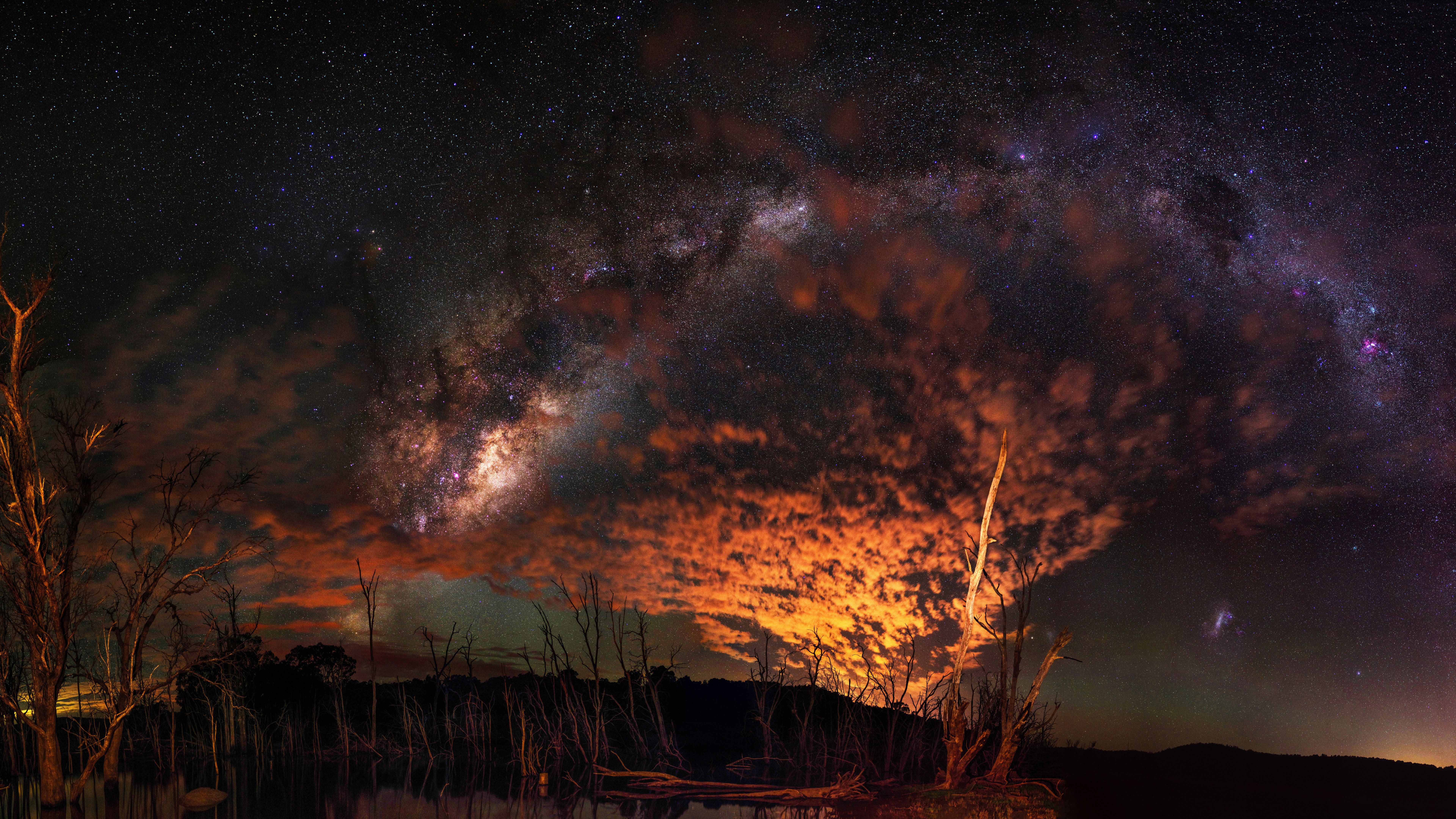 Via Lattea cielo notturno alberi, 7680x4320 4K Ultra HD, Smart TV 4K