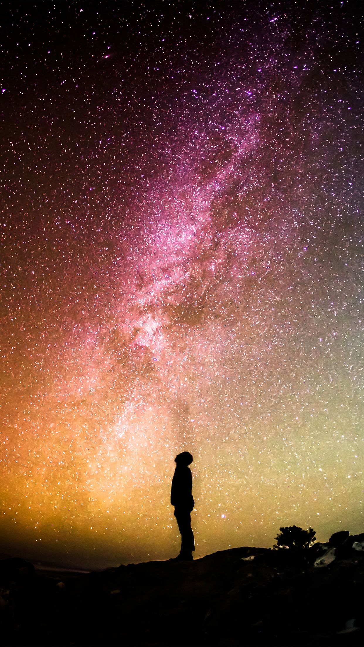 Silhouette persona sotto Via Lattea, 1242x2208 Full HD Verticale, Smartphone