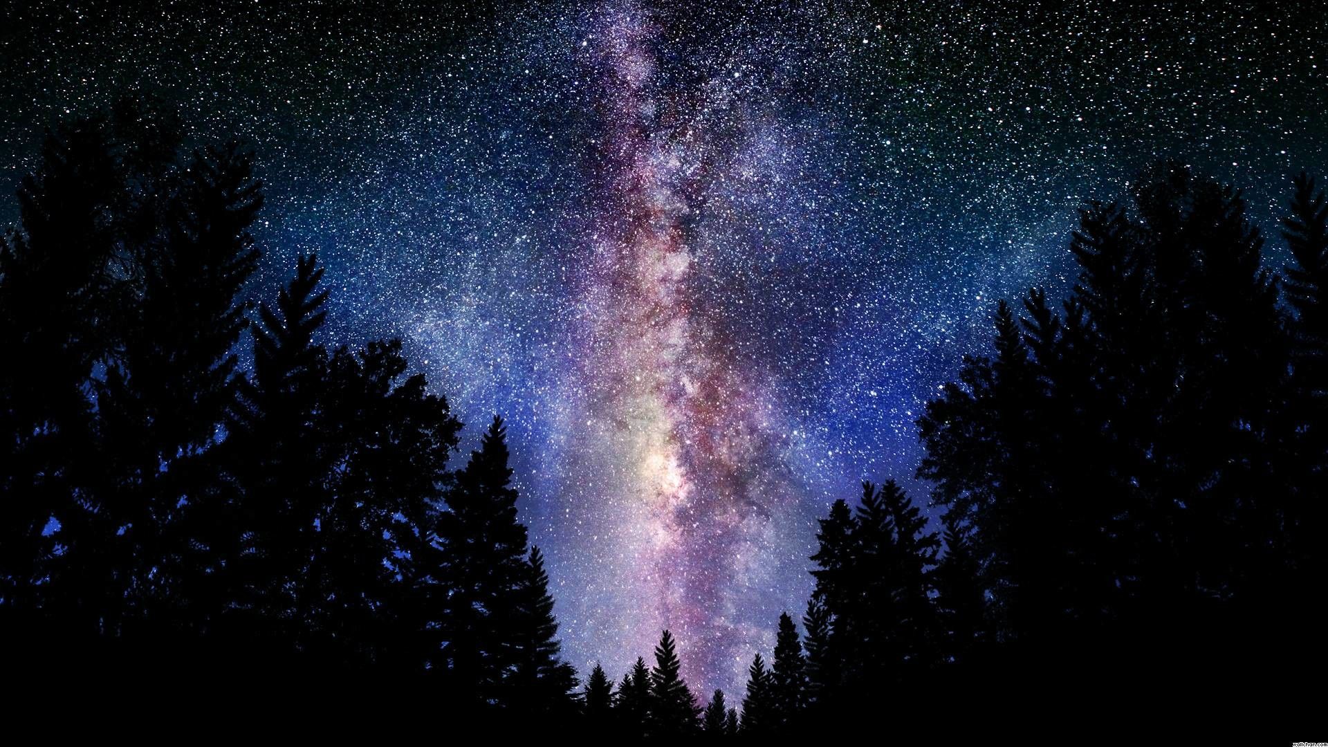Via Lattea sopra foresta notturna, 1920x1080 Full HD, Laptop