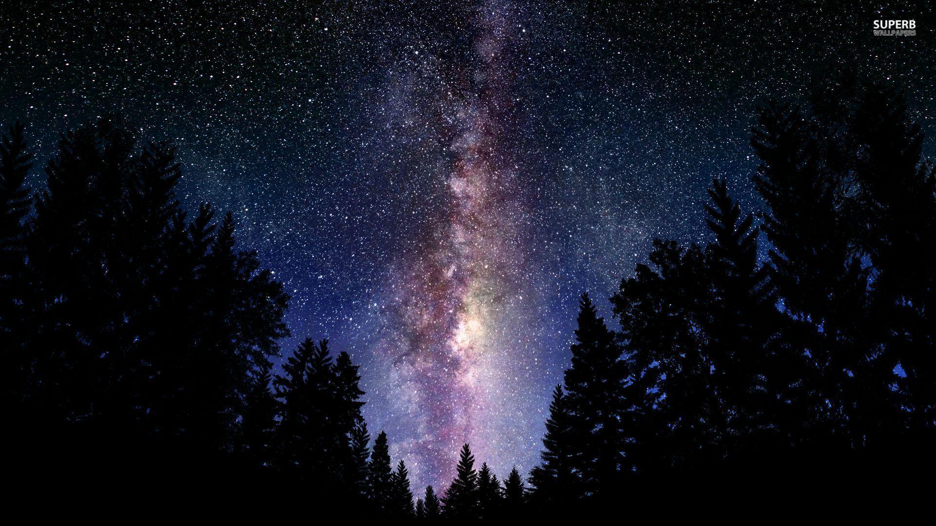 Via Lattea sopra foresta notturna, 1920x1080 Full HD 1080p, Desktop