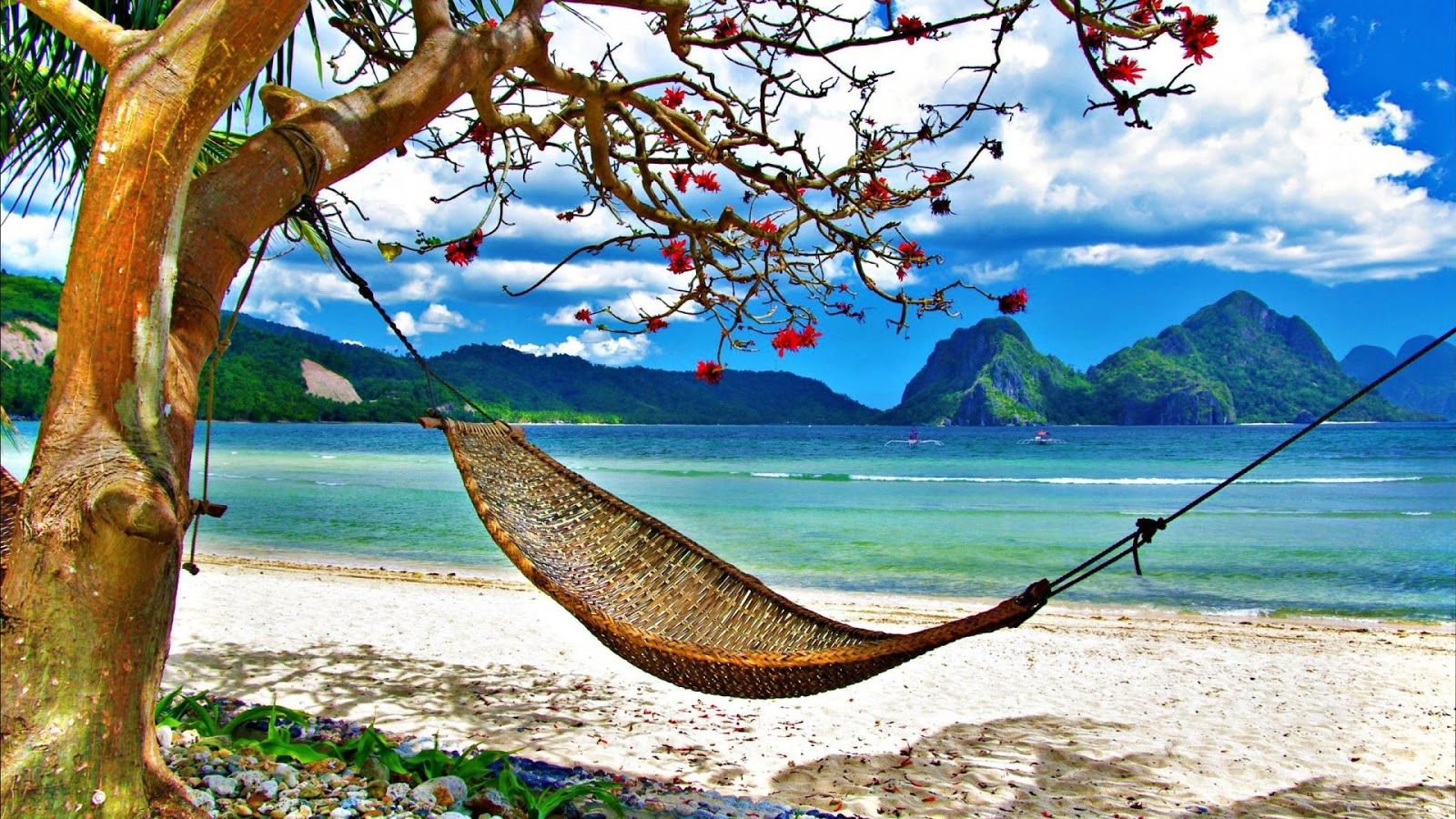 Amaca spiaggia tropicale mare, 1600x900 HD, Desktop