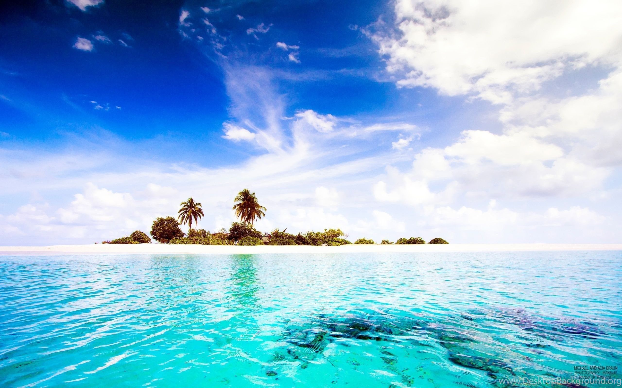 Isola tropicale palme Maldive, 2560x1600 WQXGA, PC