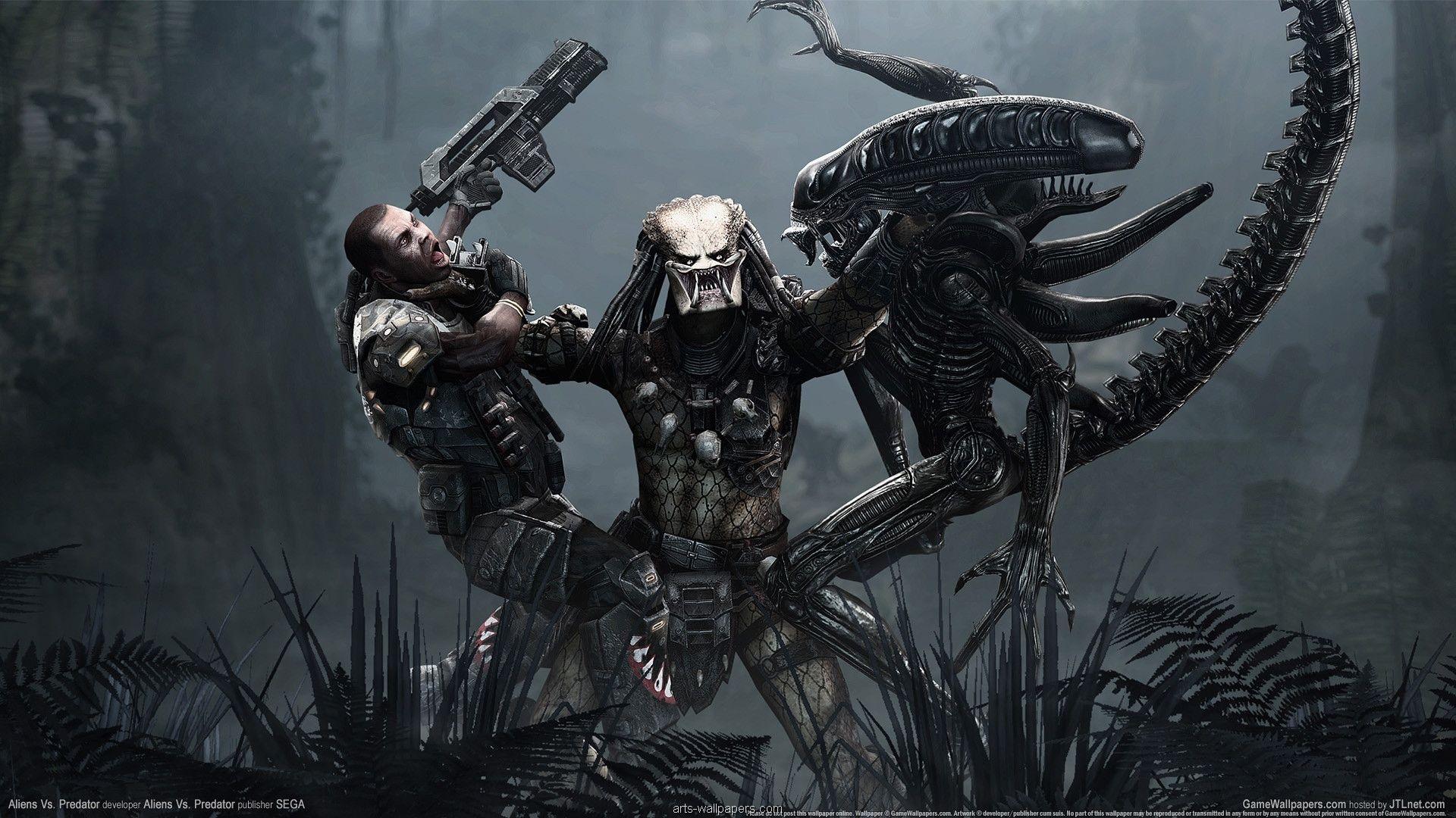 Alien vs Predator, foresta oscura, 1920x1080 Full HD 1080p, PC Desktop