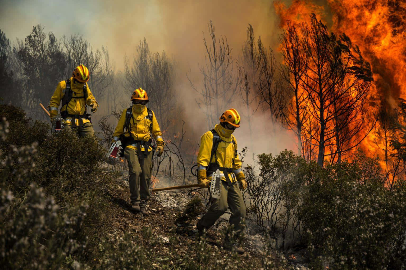 Vigili del fuoco incendio boschivo, 1535x1024 HD, Desktop