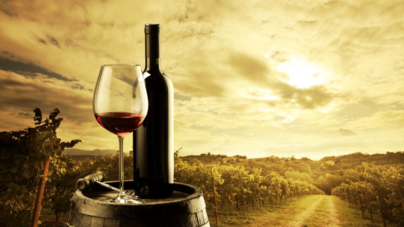 Bottiglia e calice di vino, vigneto, 1366x768 720p, PC