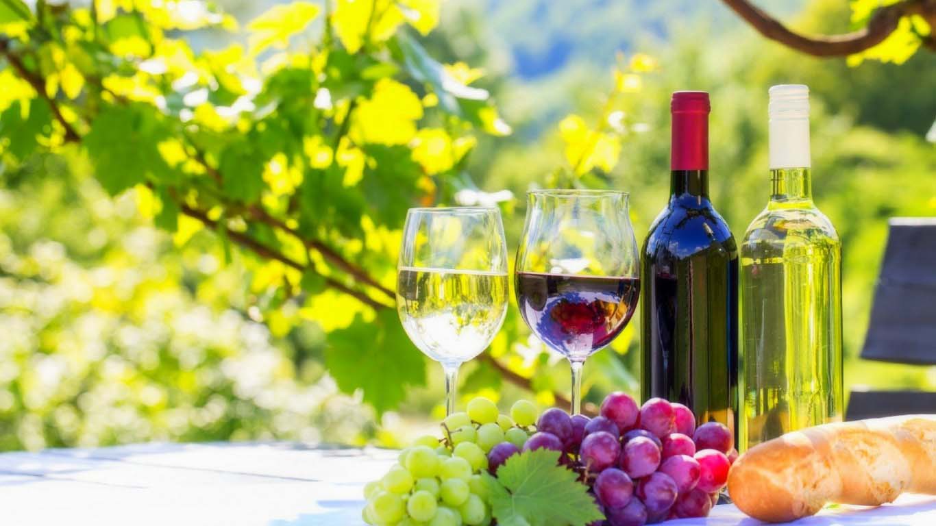 Vino, bicchieri e uva in vigna, 1366x768 HD, PC Desktop