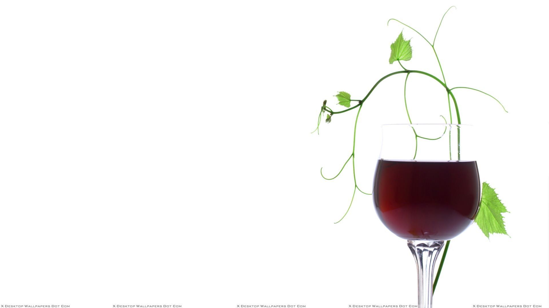 Bicchiere vino rosso con rametto, 1920x1080 Full HD 1080p, PC Desktop