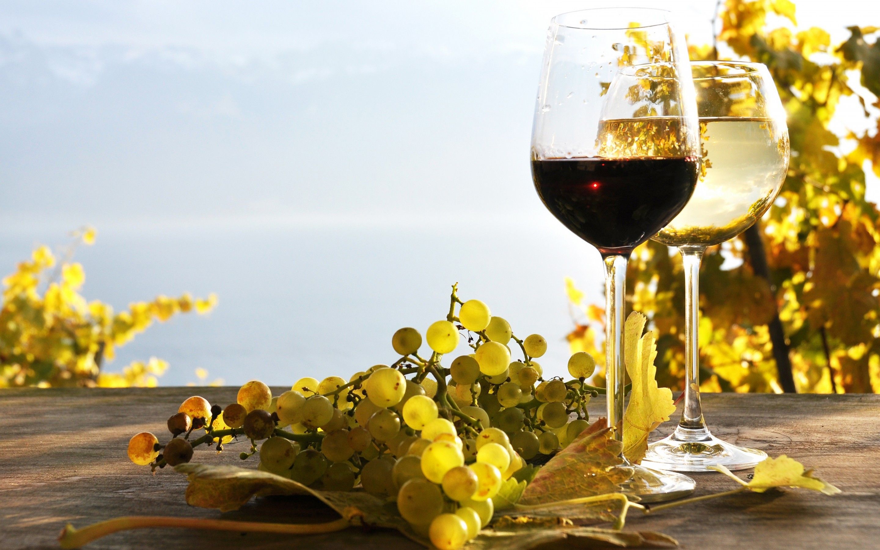 Bicchieri di vino e uva, 2880x1800 WQXGA, MacBook Pro