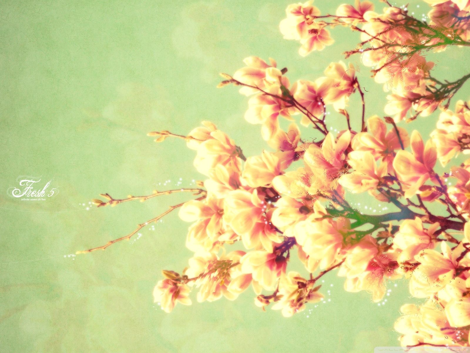 Fiori di ciliegio vintage verde, 1600x1200 HD Ready, PC