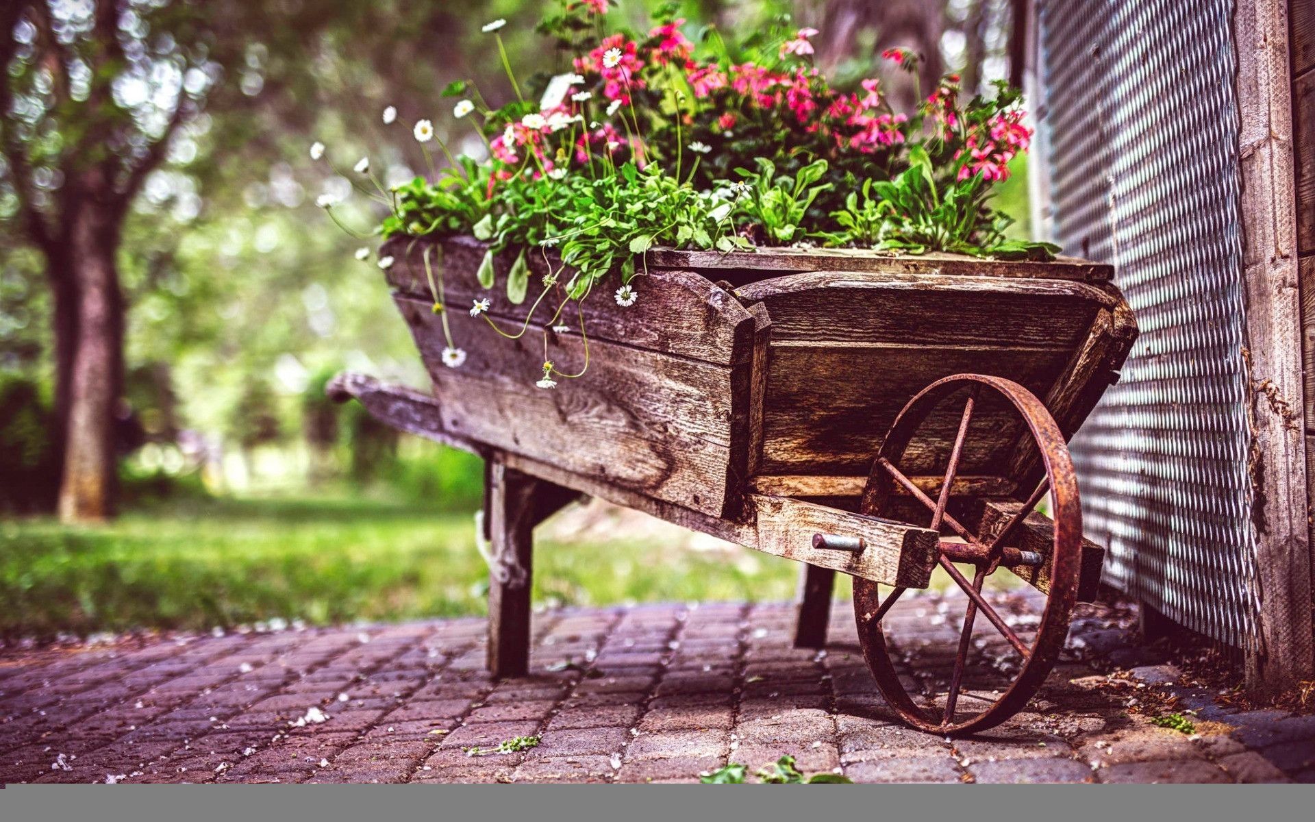 Carriola vintage con fiori, 1920x1200 WUXGA, Desktop
