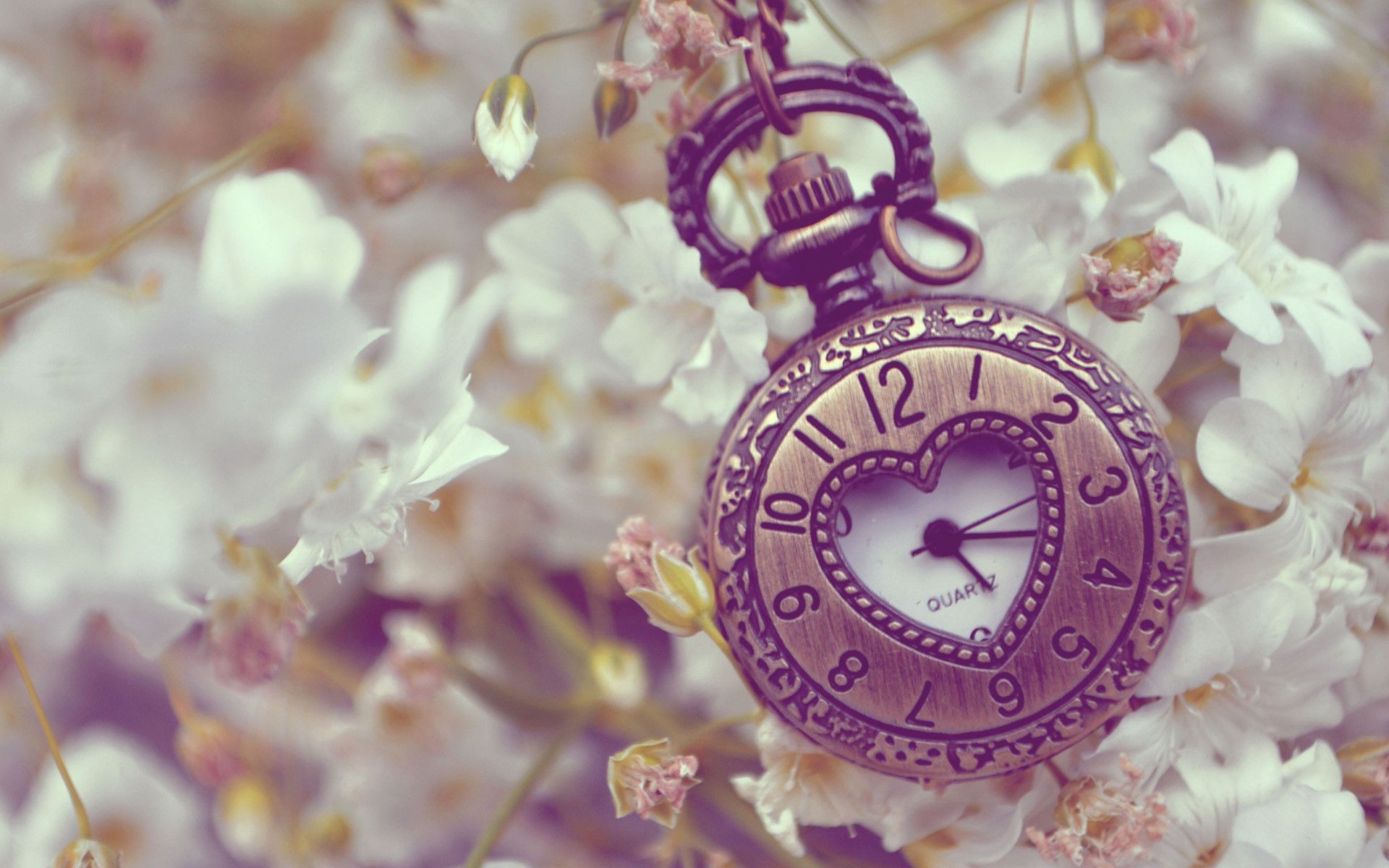 Orologio da tasca tra fiori, 1920x1200 WUXGA, Desktop