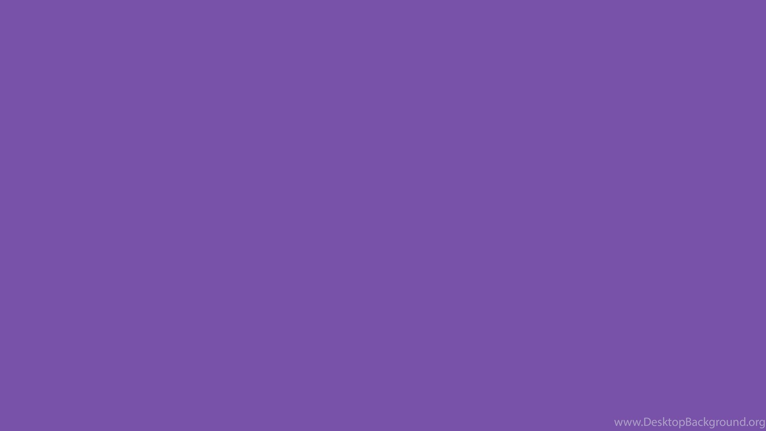 Sfondo tinta unita viola, 2560x1440 1440p, Desktop