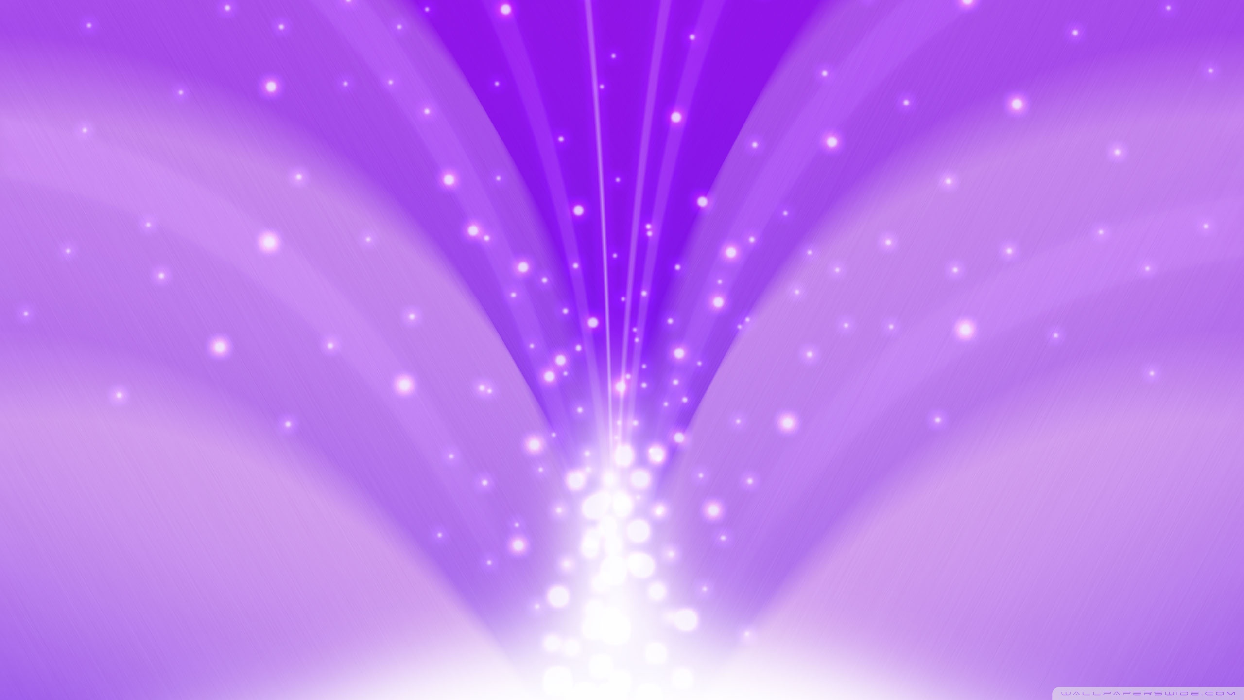 Raggi luminosi viola astratti, 2560x1440 1440p, Desktop