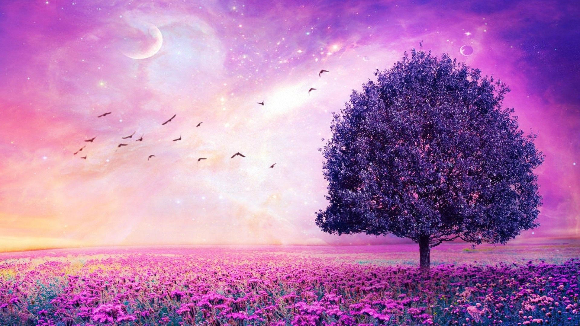 Albero viola paesaggio fantasy, 1920x1080 Full HD 1080p, PC Desktop