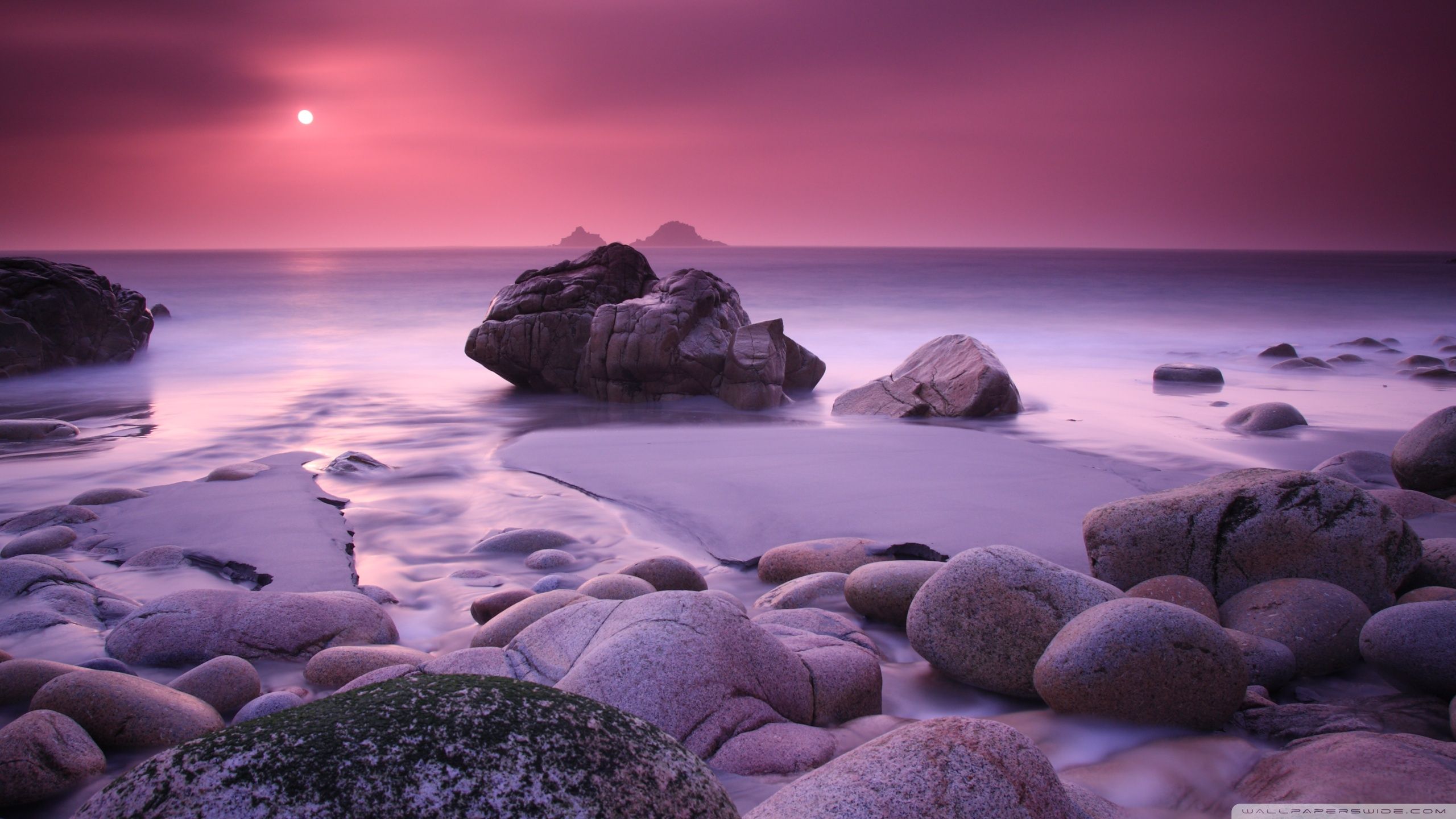 Tramonto viola sulla spiaggia, 2560x1440 2K, PC Desktop