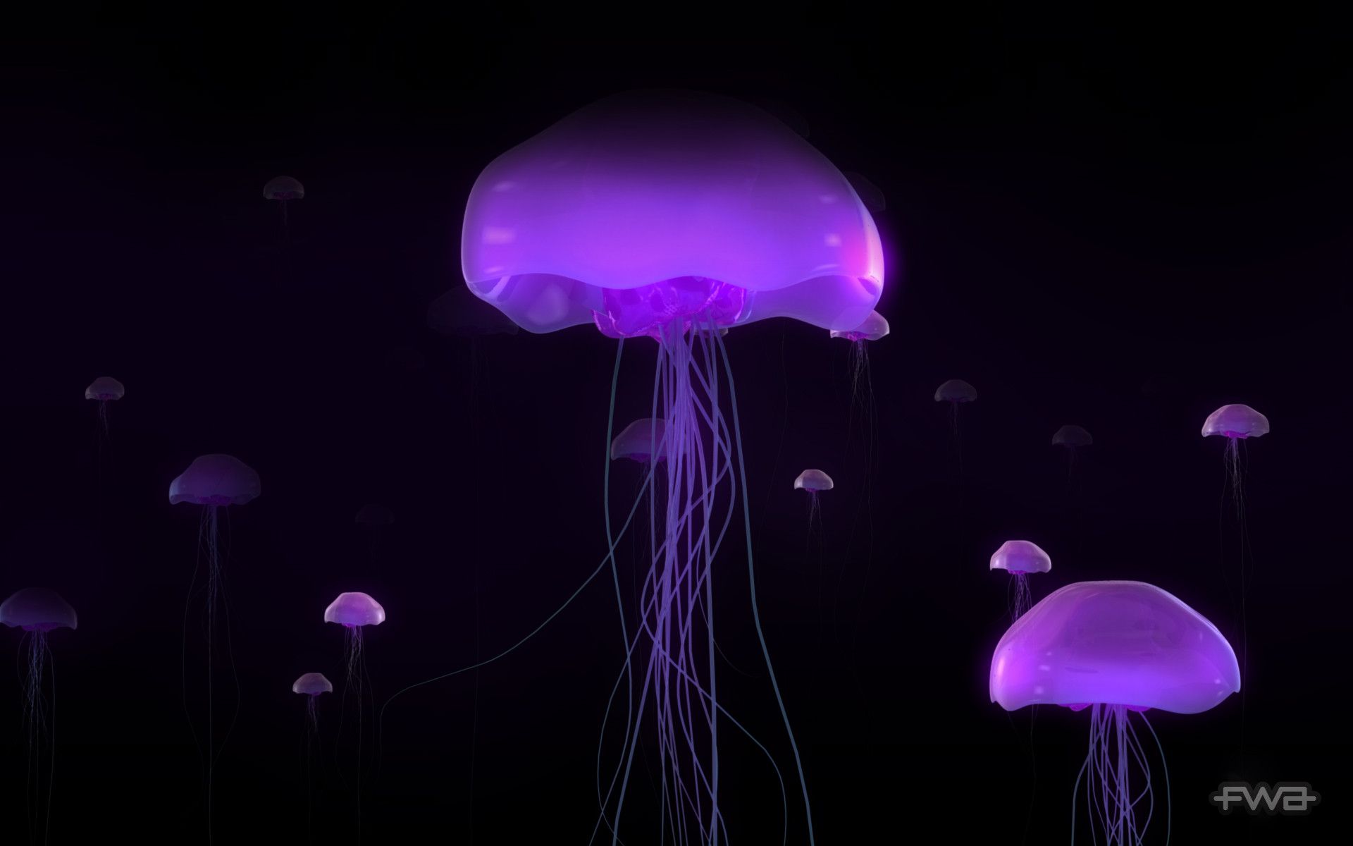 Meduse viola luminose scure, 1920x1200 WUXGA, PC