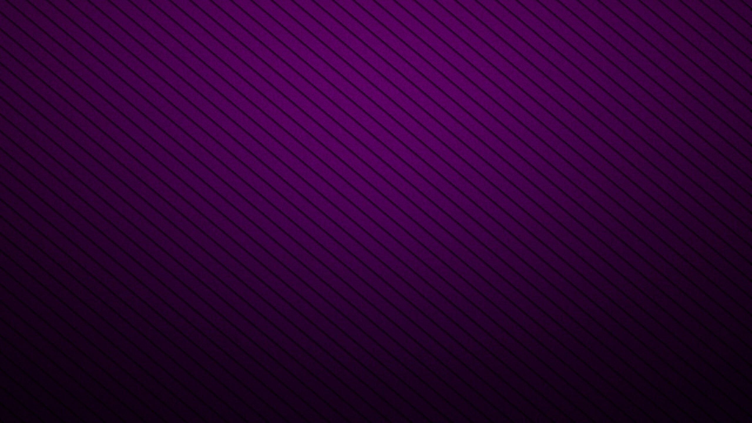 Sfondo viola astratto a righe, 2560x1440 1440p, Desktop