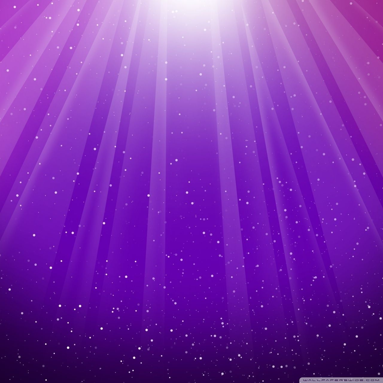 Raggi di luce viola astratti, 1280x1280 720p, Monitor Gaming