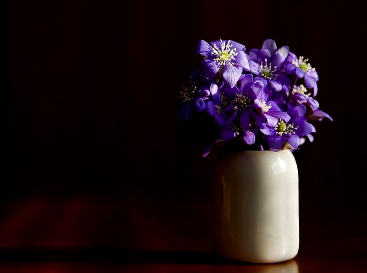 Fiori viola in vaso bianco, 1190x883 HD, PC