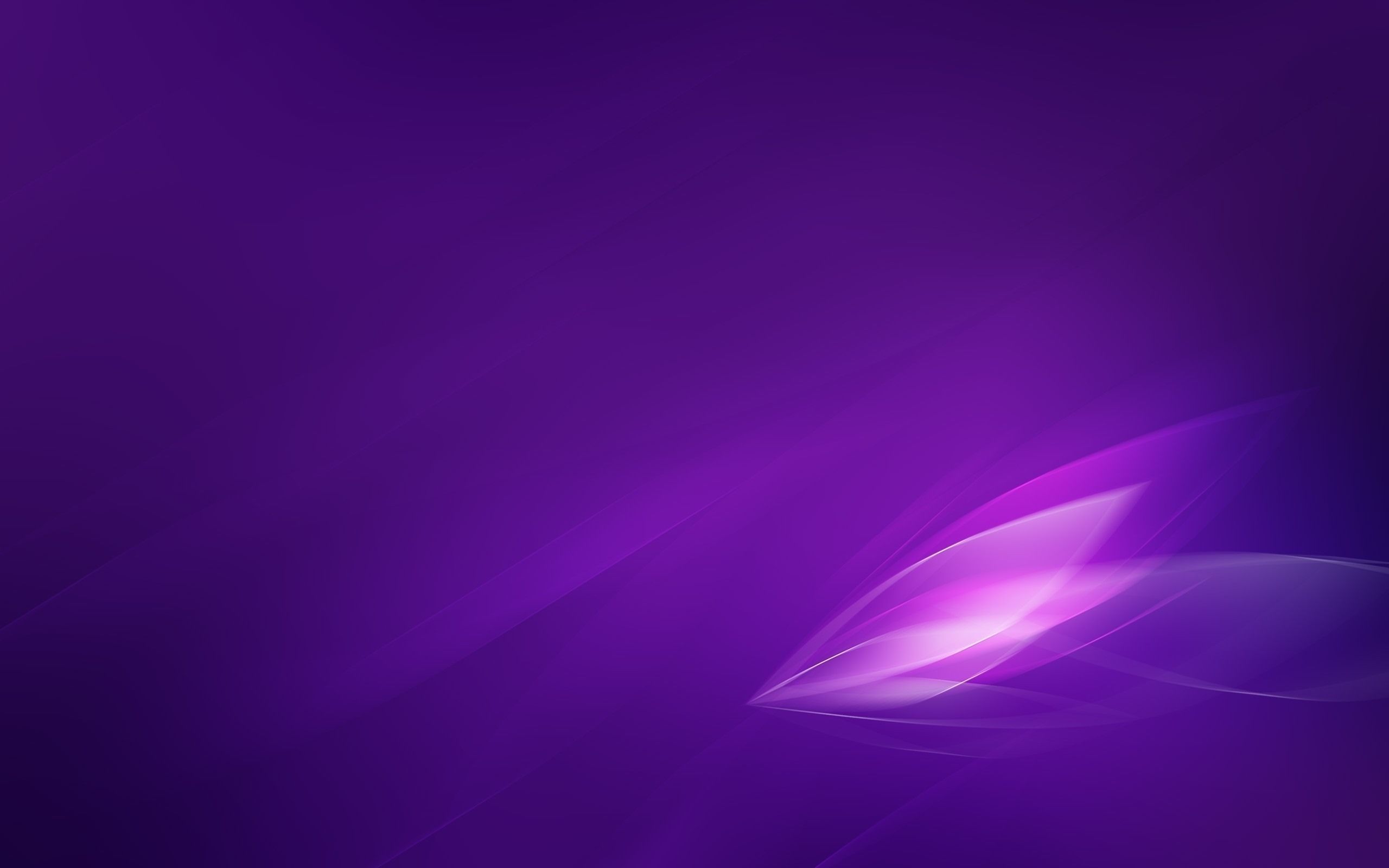 Sfondo astratto viola sfumato, 2560x1600 WQXGA, PC