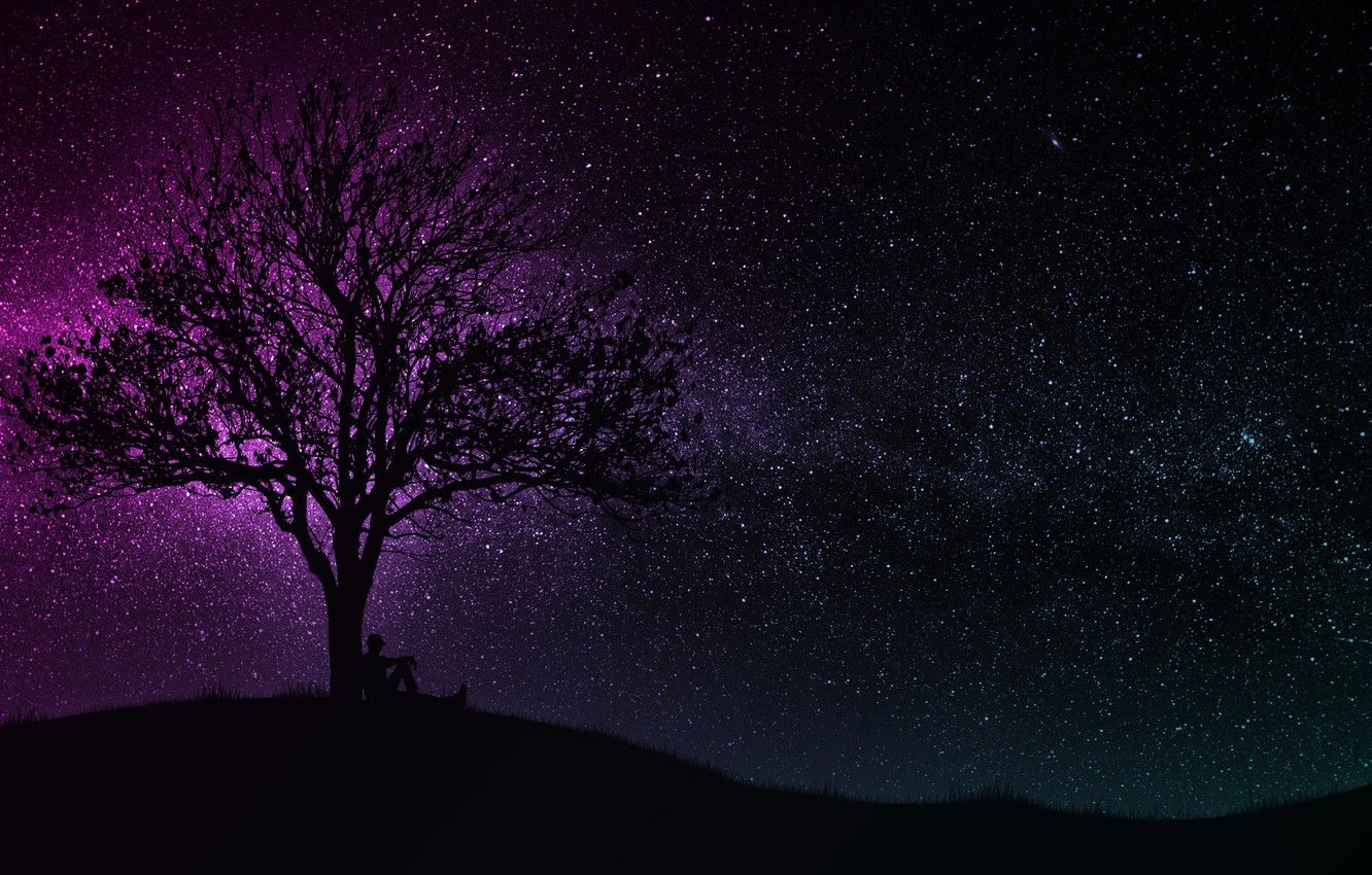 Albero silhouette cielo stellato, 1332x850 HD, Desktop