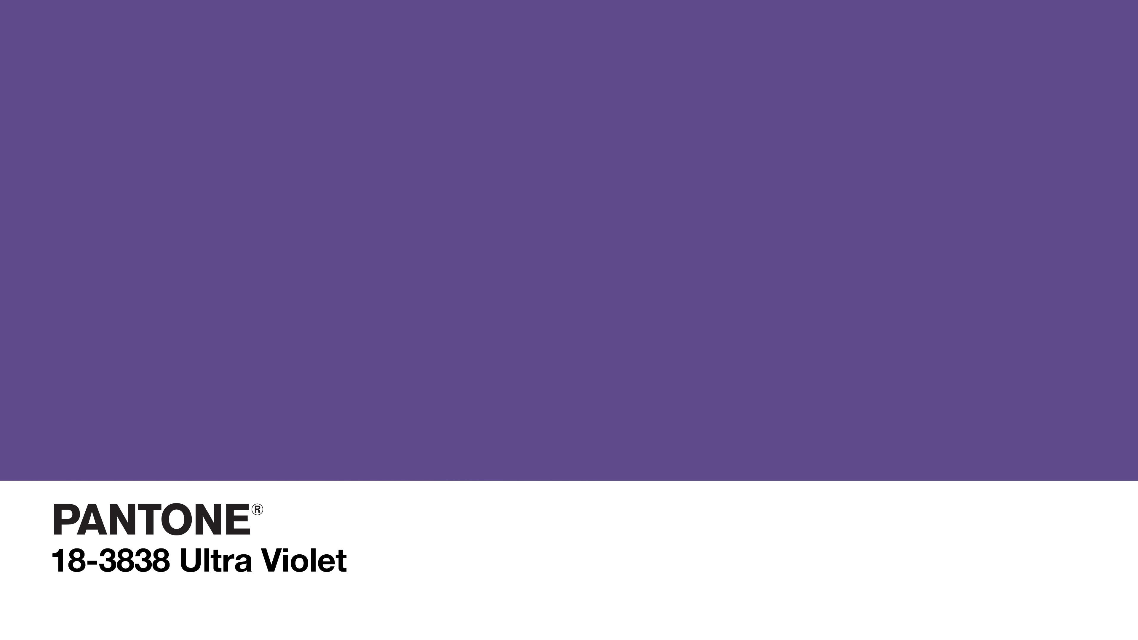 Texture viola tinta unita, 1024x768 HD, PC
