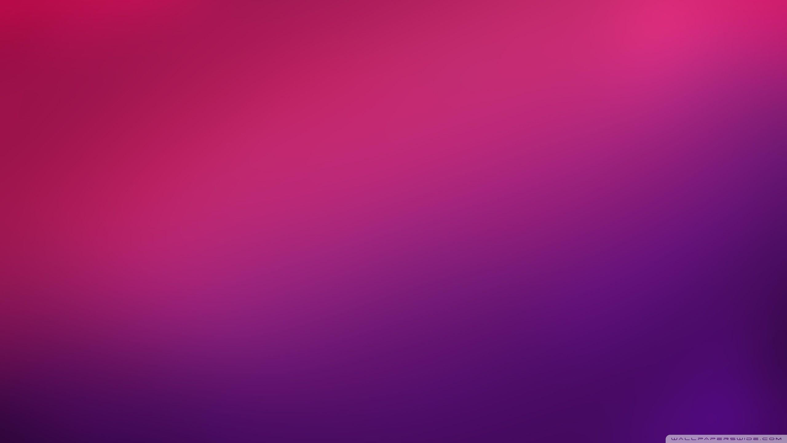Sfondo minimalista gradiente rosa viola, 2560x1440 2K, Desktop
