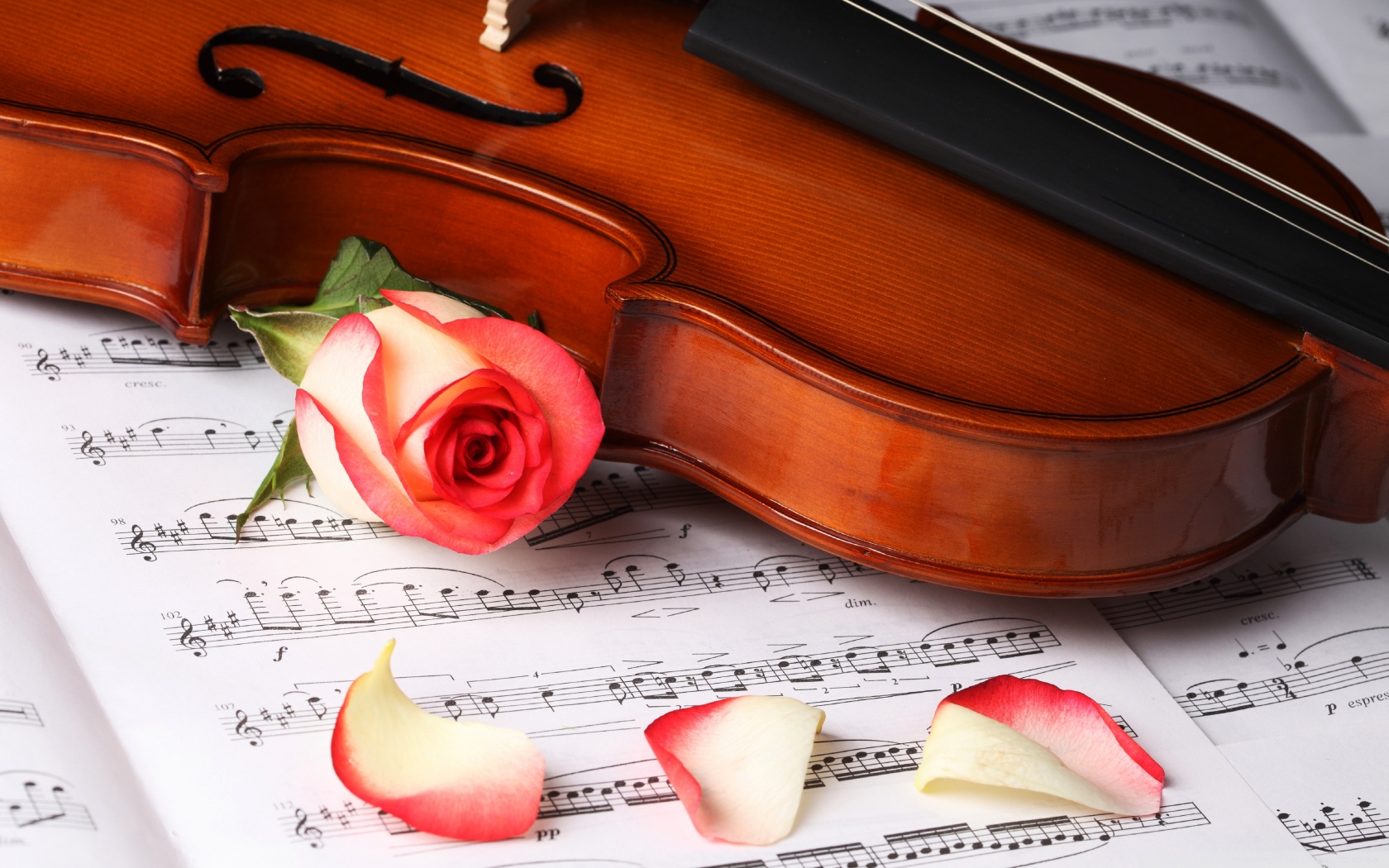 Violino con rosa e spartito, 1680x1050 HD Ready, PC