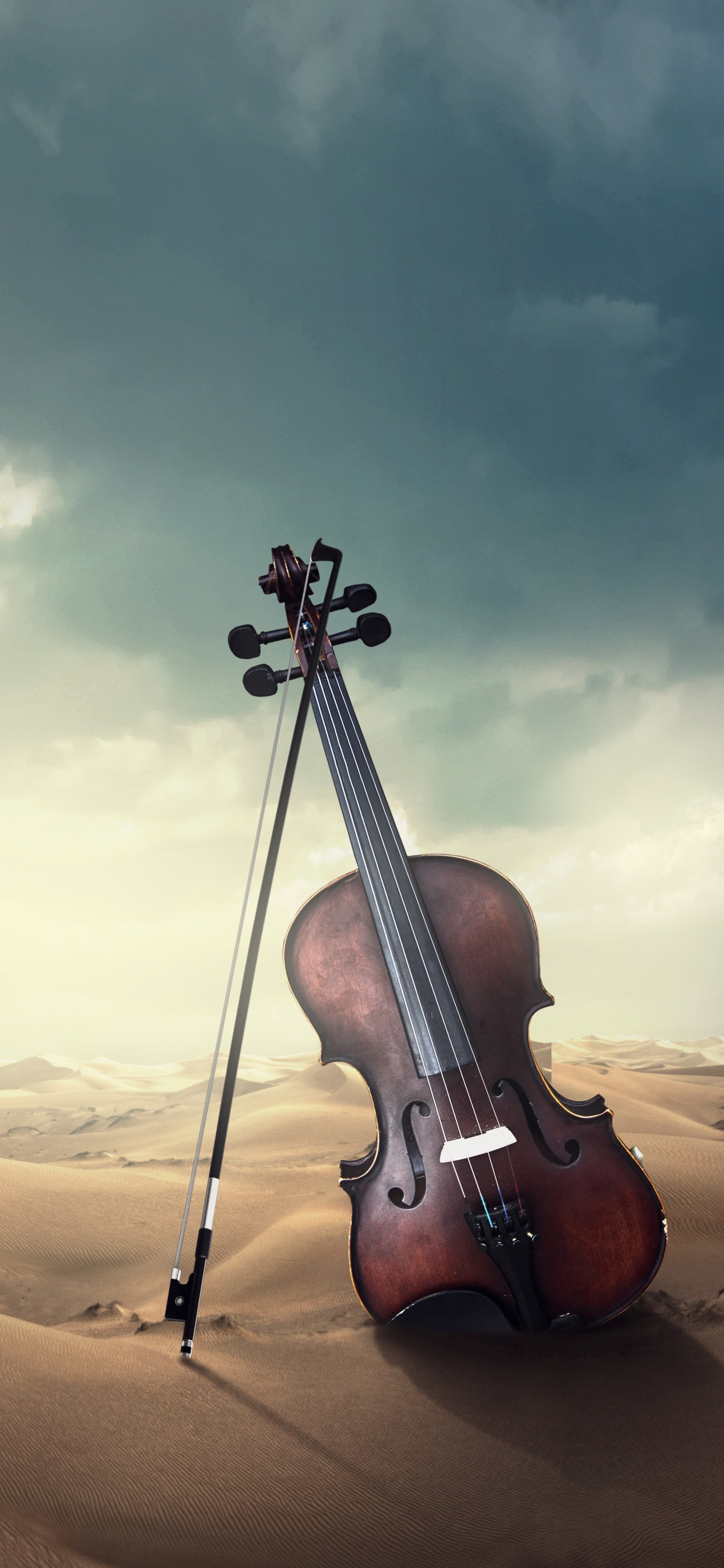Violino nel deserto tempestoso, 1242x2688 Verticale, Mobile