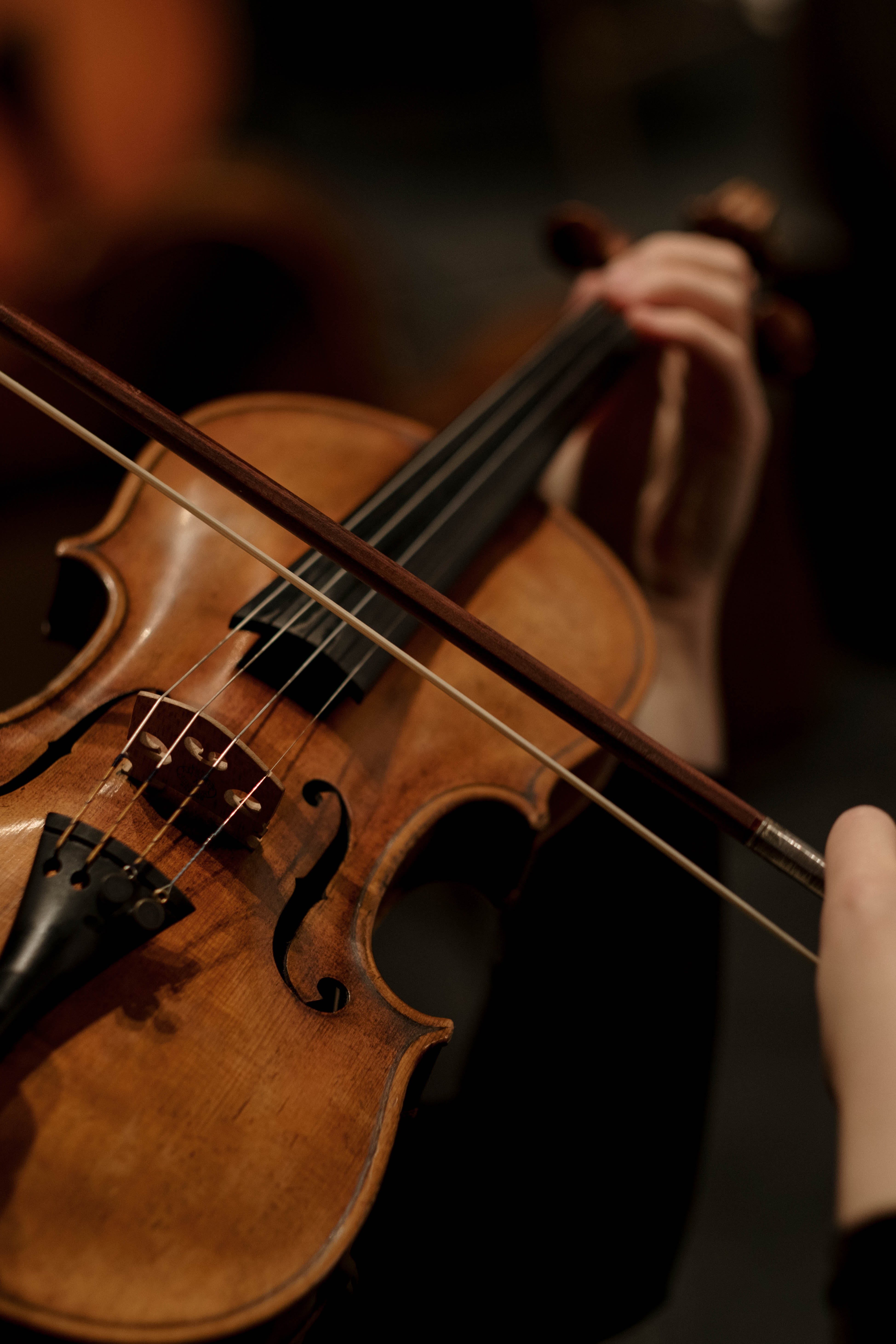 Violino suonato con archetto, 3897x5845 Full HD Verticale, iPhone