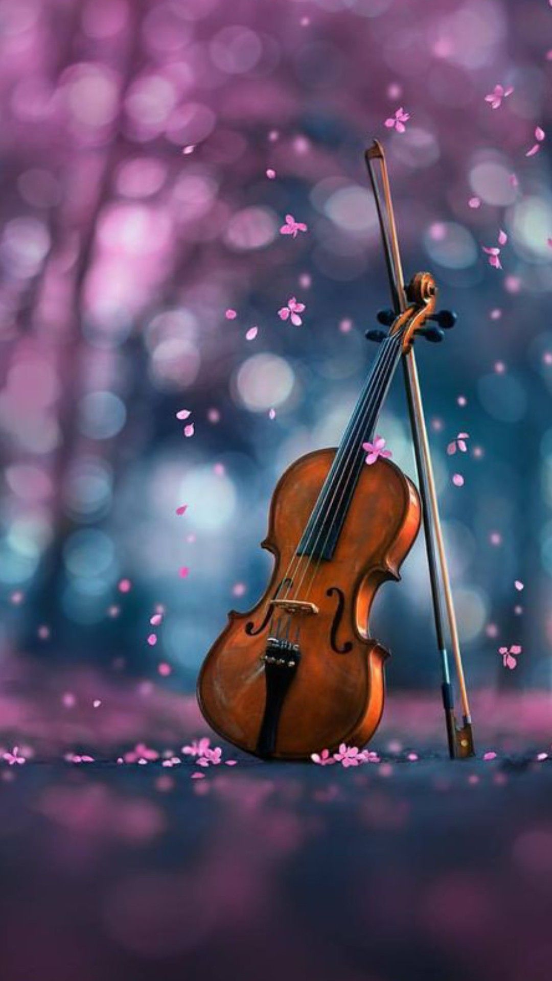 Violino con archetto, petali rosa, 1080x1920 Verticale, Telefono