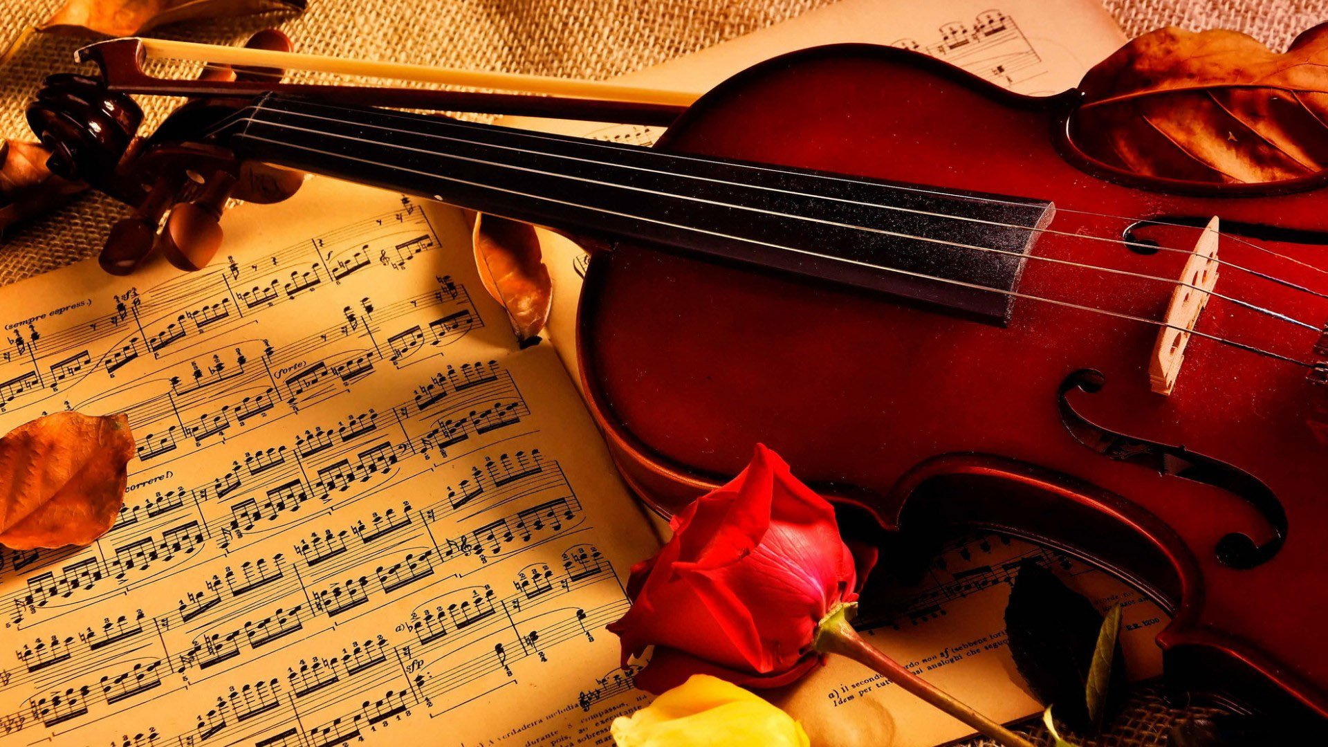 Violino, rosa e spartito musicale, 1920x1080 Full HD, Laptop