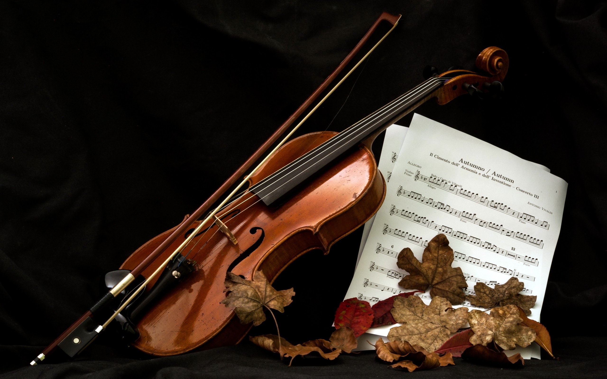 Violino con spartito e foglie, 2560x1600 2K+, Laptop