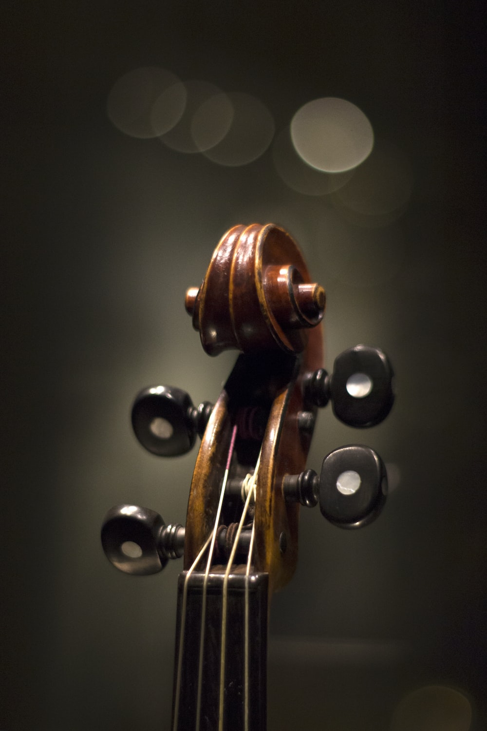 Riccio e paletta di violino, 1000x1500 Verticale, OnePlus
